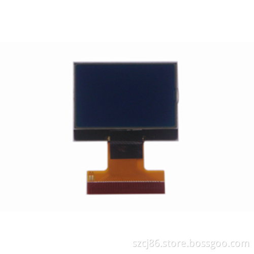 Display Cog LCD Module (CTF061205)